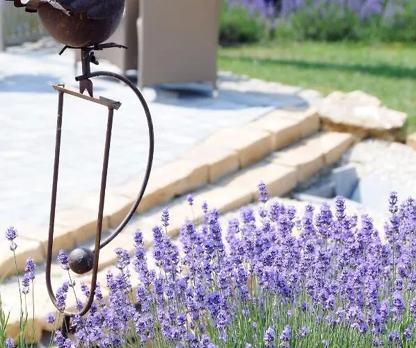 O Sixieme Sens Williers